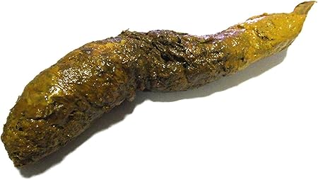 Amazon 超リアル ウンコ 一本糞 Fake Poop ジョーク どっきり おもちゃ