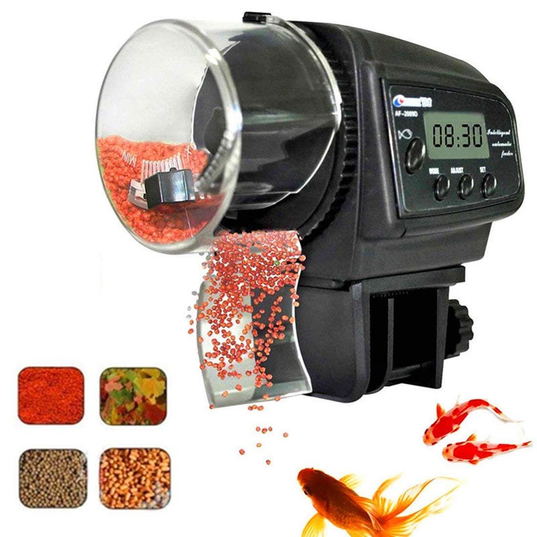 auto fish feeder
