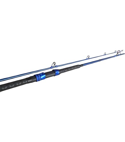 Amazon.com: Okuma Cedros