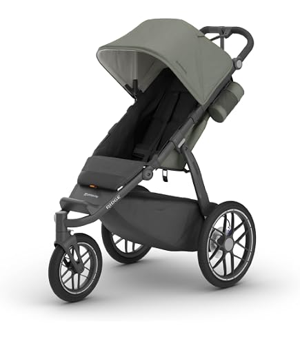 Amazon.com : Thule Chariot Lite Double Multisport Trailer & Stroller in  Agave with Compatible Wind & Sun UPF50+ Protection Tarp : Baby