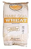 Wheat Montana - Prairie Gold Wheat Berries - 1 pack