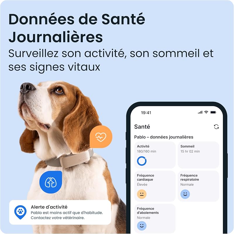 – Collier GPS pour Chien Connecté | Édition 2025 | Localisation GPS en Direct | Alertes Anti-Fugue et de Santé | Moniteur de Signes Vitaux | Leader du Marché (Marron)