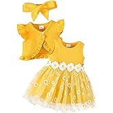 Renotemy Newborn Baby Girl Flower Dress Toddler Boho Tutu Tulle Dress Princess Wedding Birthday Party Dresses for Girls 3M-3T