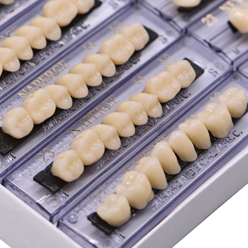 RZJZGZ 168 Pcs Dental Synthetic Resin Tooth Denture 6 Sets False Teeth for Halloween Horror Teeth 23 A3 : Beauty