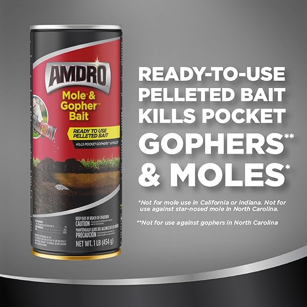 AMDRO AMDRO MOLE AND GOPHER AMDRO MOLE & GOPHER BAIT, CLEAR
