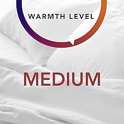 Waverly Oxford Damask 4 Piece Cotton Comforter