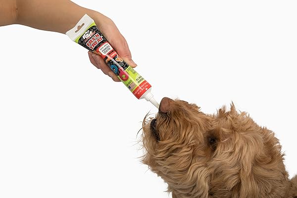FILL’N TREAT PUMPKIN PEANUT BUTTER; 5OZ TUBE