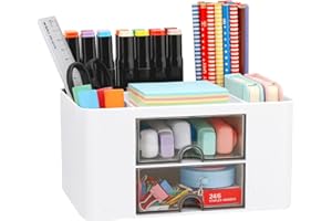 LETURE Desk Organizer with 2 Drawer, Plastic Desktop Pen Pencil Card Holder Storage Box for Desk, Office Supplies, Vanity Table Office School Home (White)