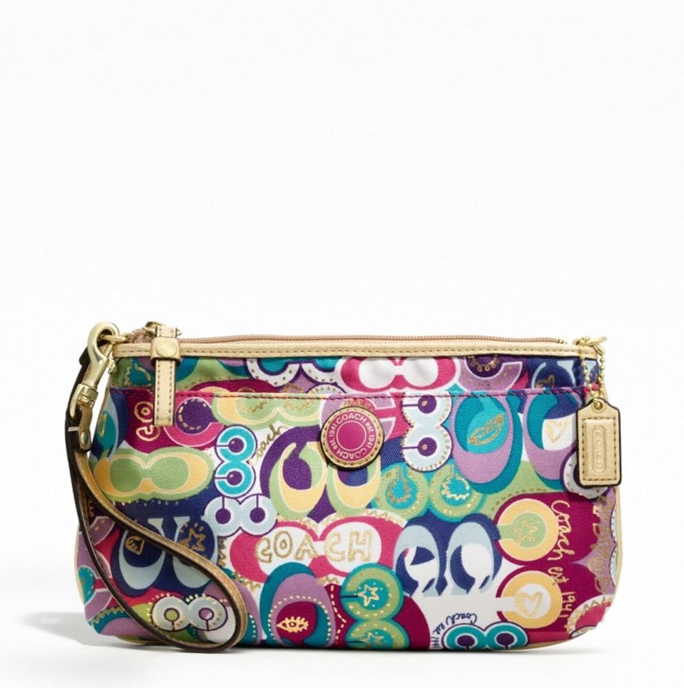 coach multicolor stripe purse