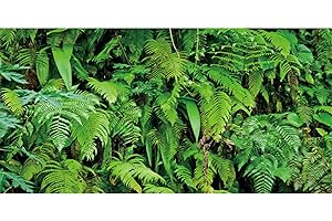AWERT 60x24 inches Tropical Terrarium Background Tropical Plants Leaves Aquarium Background Rainforest Reptile Habitat Background Durable Polyester Background