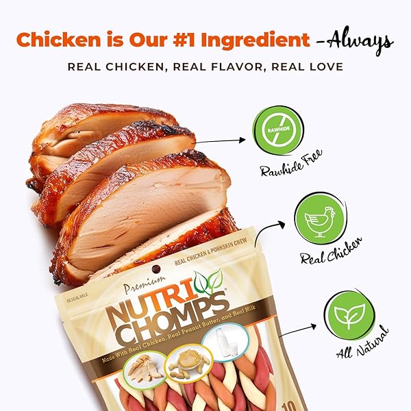 NUTRICHOMPS DOG CHEWS, 6-INCH BRAIDS, EASY TO DIGEST, RAWHIDE-FREE DOG TREATS, HEALTHY, 10 COUNT, REAL CHICKEN, PEANUT BUTTER AND MILK FLAVORS