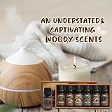 Salubrito Essential Oils Set Wood Fragrance 6 Pack Forest Pine Sandalwood view 5