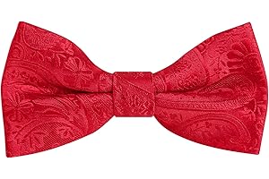 Alizeal Boys Classic Paisley Adjustable Pre-tied Bow Tie