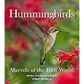 Hummingbirds: Marvels of the Bird World (Favorite Wildlife)
