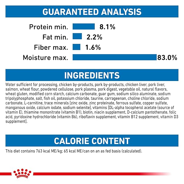 ROYAL CANIN FELINE HEALTH NUTRITION INDOOR ADULT MORSELS IN GRAVY CAT FOOD, 3 OZ (PACK OF 12)