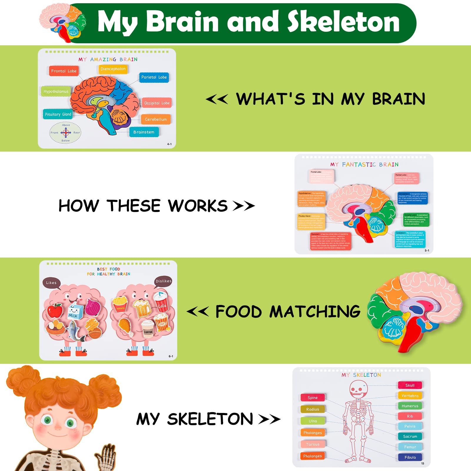 Mua Freebear Montessori Busy Book for Kids, Human Body Anatomy Book for ...
