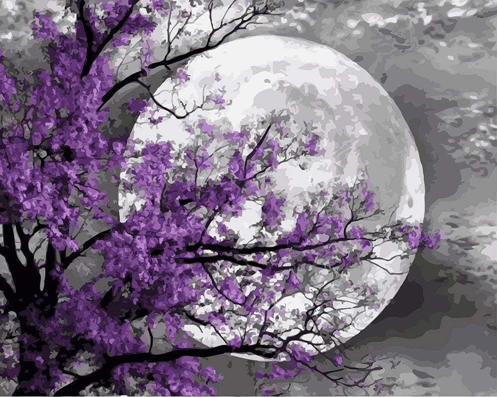 DIY Paint by Numbers Kit for Adults Big Moon Paint by Number Kit On