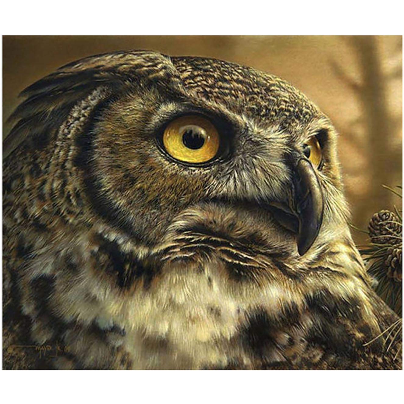 Bimkole 5D Diamond Painting Kits for Adults Owl, Full Drill Art Animal Tree DIY Rhinestone Embroidery Set Paint with Diamonds Art by Number Kits Cross Stitch Home Wall Craft Decoration (12x16inch)