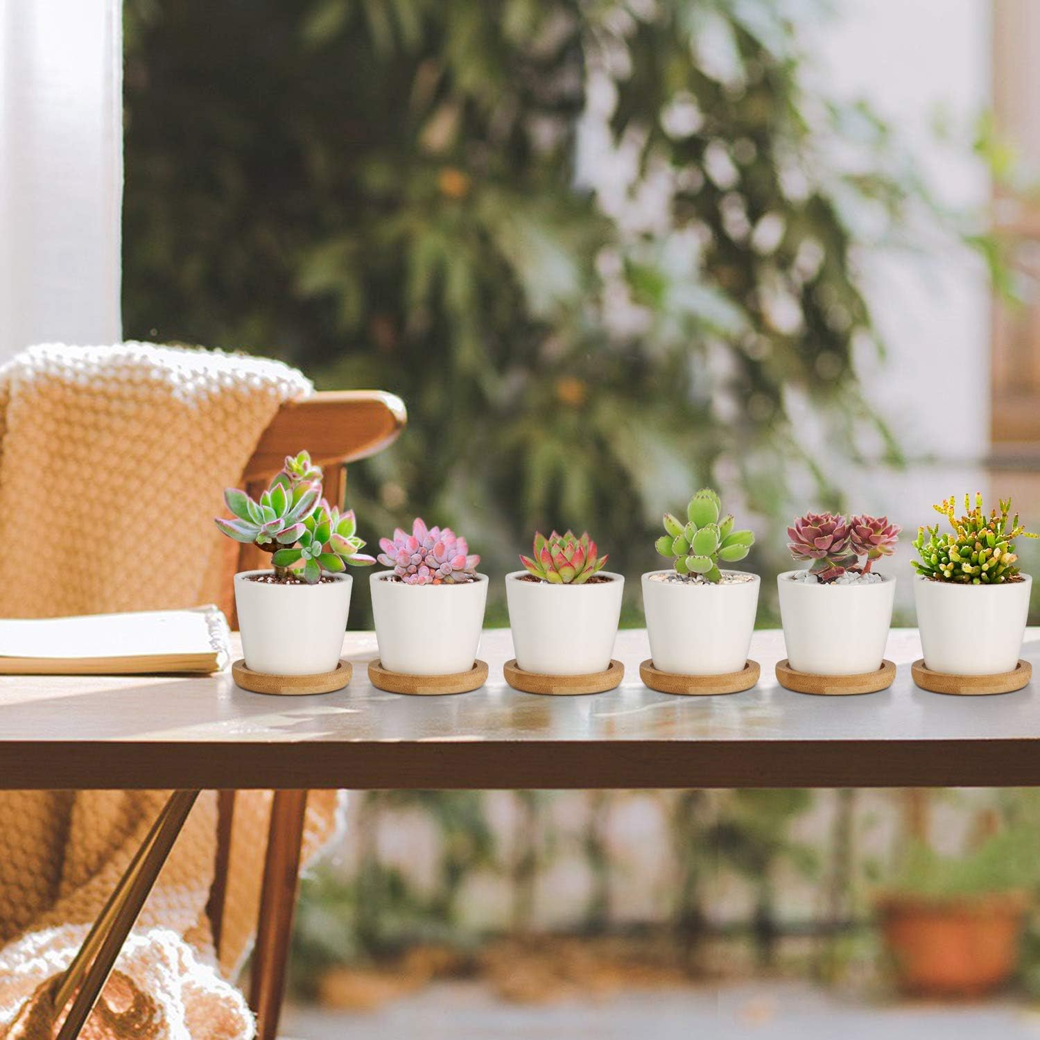 T4U 6.5CM Small White Succulent Planter Pots with Bamboo Tray Round Set of 12 - Image 4