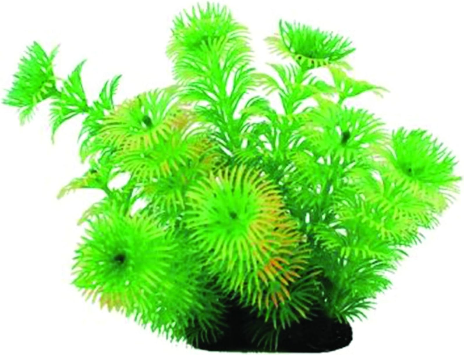 Pure Aquatic Tropical Elements Green Cabomba