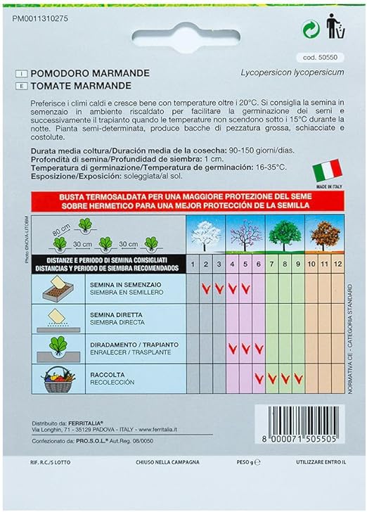 Semillas Tomate Raf (1.5 Gramos): Amazon.es: Jardín