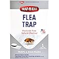 Enoz Trap-N-Kill Indoor Flea Trap with Lightbulb and Sticky Capture Pad, Nontoxic, Made in USA