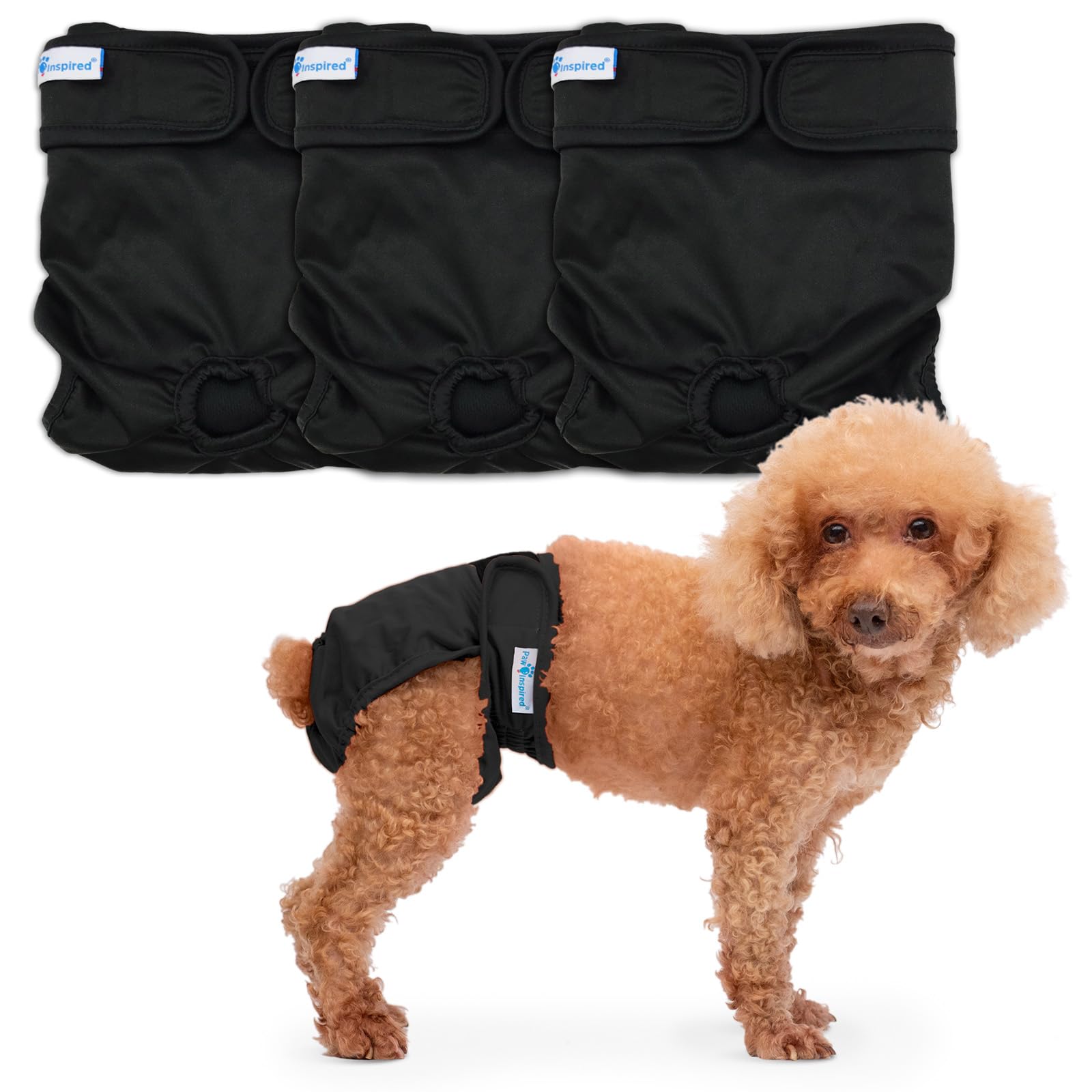Photo 1 of Paw Inspired Washable Dog Diapers (3 Pack) | Reusable Cloth Doggy Diapers for Female Small, Medium, Large Size Dogs (Black with Black Lining, Size Small)