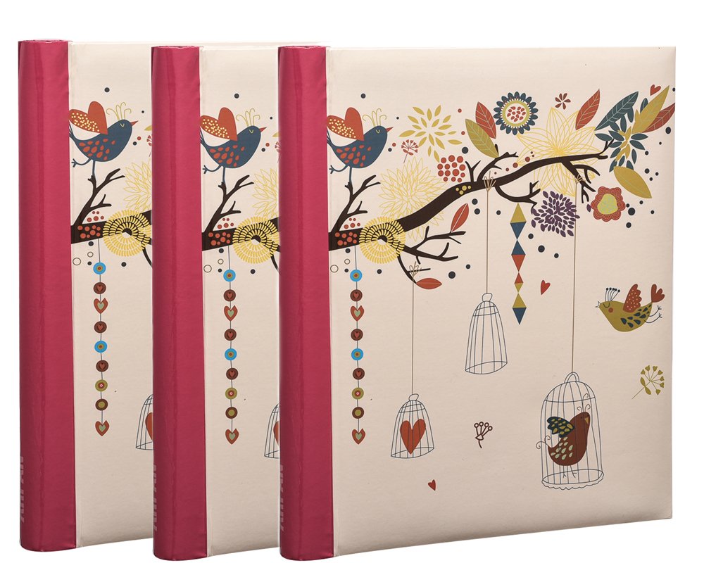 Self-Adhesive Photo Albums with Totalling 60 Sheets/120 Sides, By Arpan (Vintage Art Deco Style)