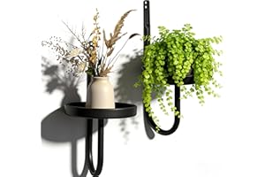 Vitalsvn Wall Plant Holder 2 Pack J-shape Wall-Mounted Plant Stand Metal for Indoor Outdoor Single Planter Holder for Window 