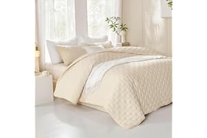 HiSnug Queen Size Quilt Set, 3 Pieces: 1 Quilt (90" x 96"), 2 Pillow Shams (20" x 26"), Beige, Modern, Solid