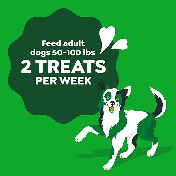GREENIES OCCUPY TWISTS NATURAL DOG TREATS LARGE BREED SIZE CHICKEN FLAVOR, 8.55 OZ. PACK, 4 COUNT