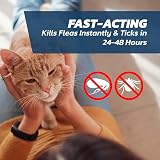 Naqua Flea Solves Cat Spot On 1 Pipette Over 1kg 8 Weeks+ view 3