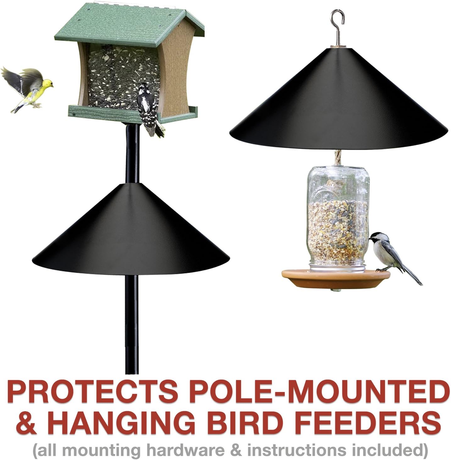 Amazon Com Predatorguard Squirrel Guard Baffle Protects