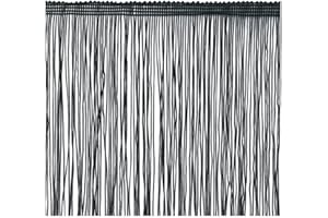 Fringe Trim Tassel 8 inch Wide 2 Yards Long for Clothes Accessories Latin Wedding Dress DIY Decoration (1-Black)