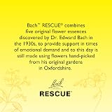 Rescue Rescue Remedy Pastilles Mint Apple Travel Tin 50g Chewable view 6