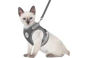 GAUTERF Cat Harnesses and Puppy Harness with Leashes Set, Escape Proof Cat Harness, Adjustable Reflective Soft Mesh Vest Fit Puppy Kitten Rabbit Ferrets's Outdoor Harness