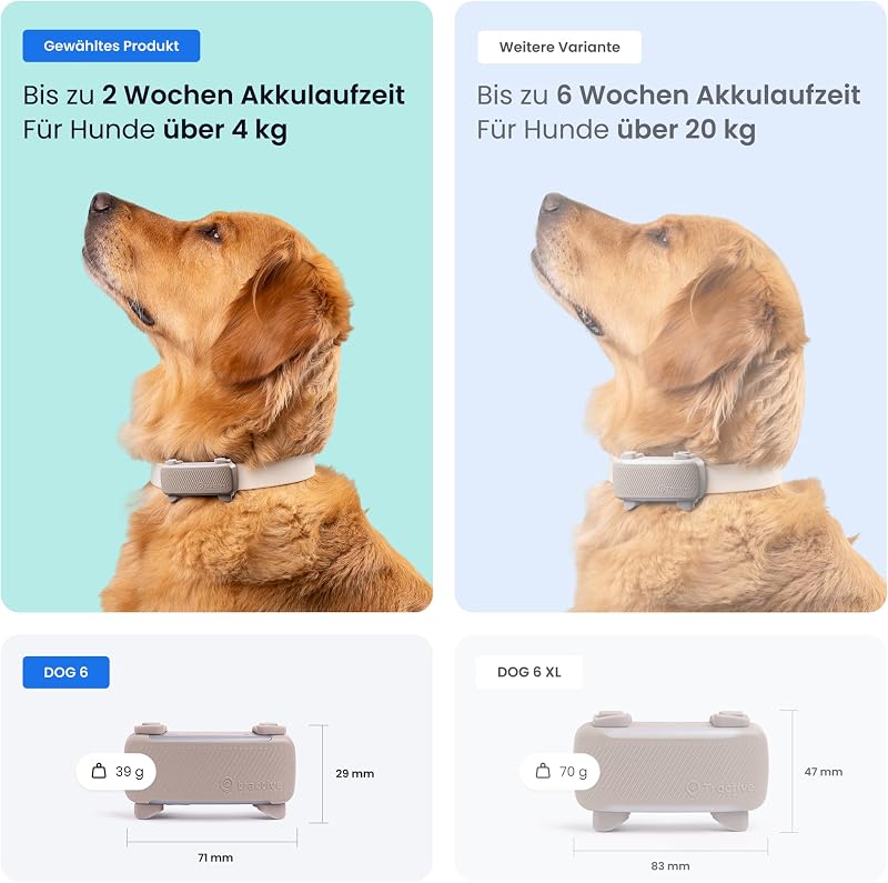 GPS Tracker Hund | 2025 Edition | Live-Ortung | Weglaufalarm | Aktivitätstracking | Gesundheitswarnungen | Bellverhalten | Empfohlen von Martin Rütter (Braun)