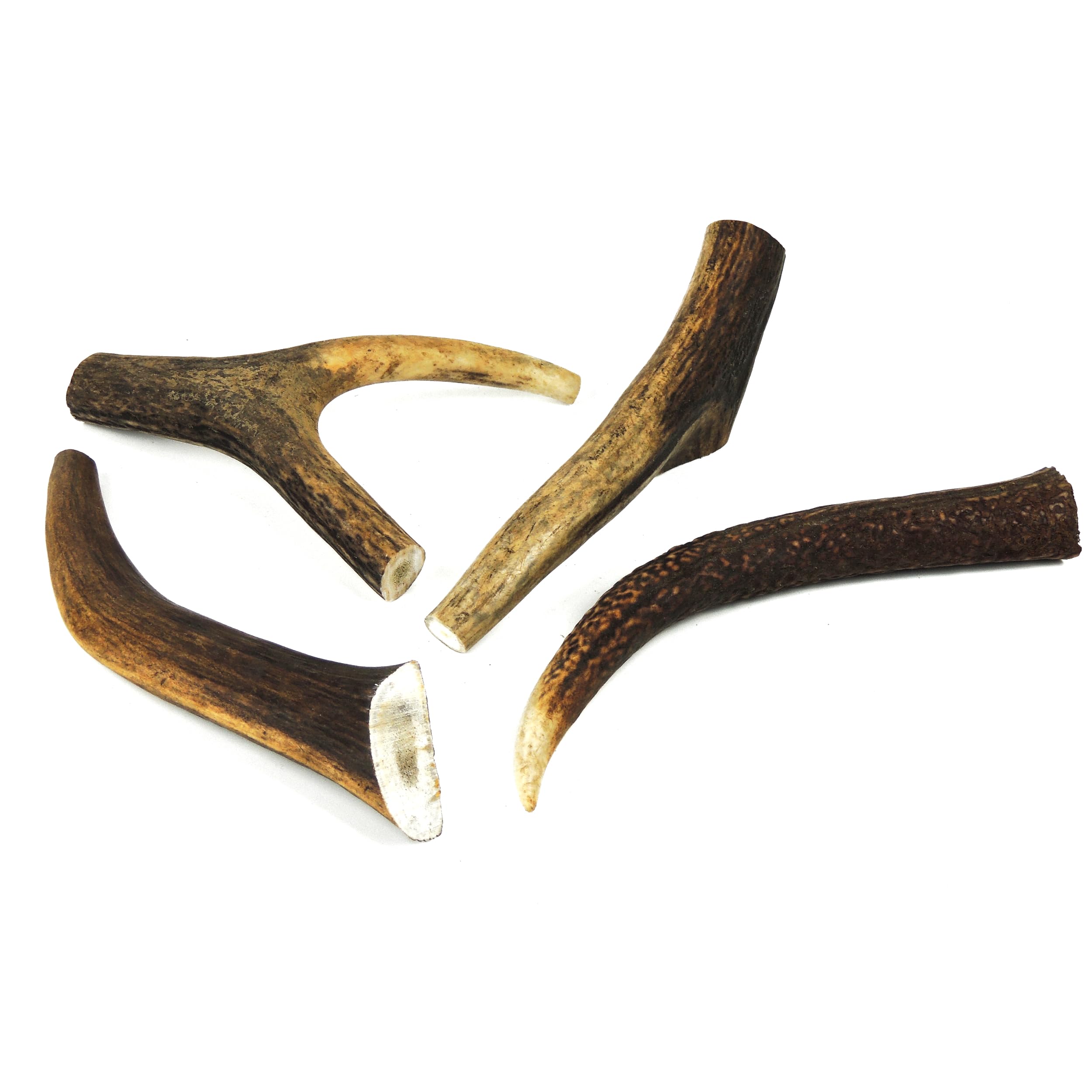 Natural Deer Antler Dog Chew - Large, 5 Inches (13cm), 100-150g - Long-Lasting, All-Natural Dental Chew for Large Dogs - Promotes Healthy Teeth and Gums