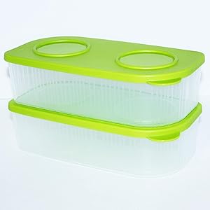 Tupperware Set of 2 Fresh N Cool 4.25 Cup Long Containers Green