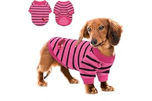 Queenmore Medium Dog Shirt,Soft Breathable Dog Shirt for Dogs Cats Boy Girl,Pet Clothes for All Season,Breathable Lightweight Pet Tshirt for Frenchie, Dachshund, Yorkie