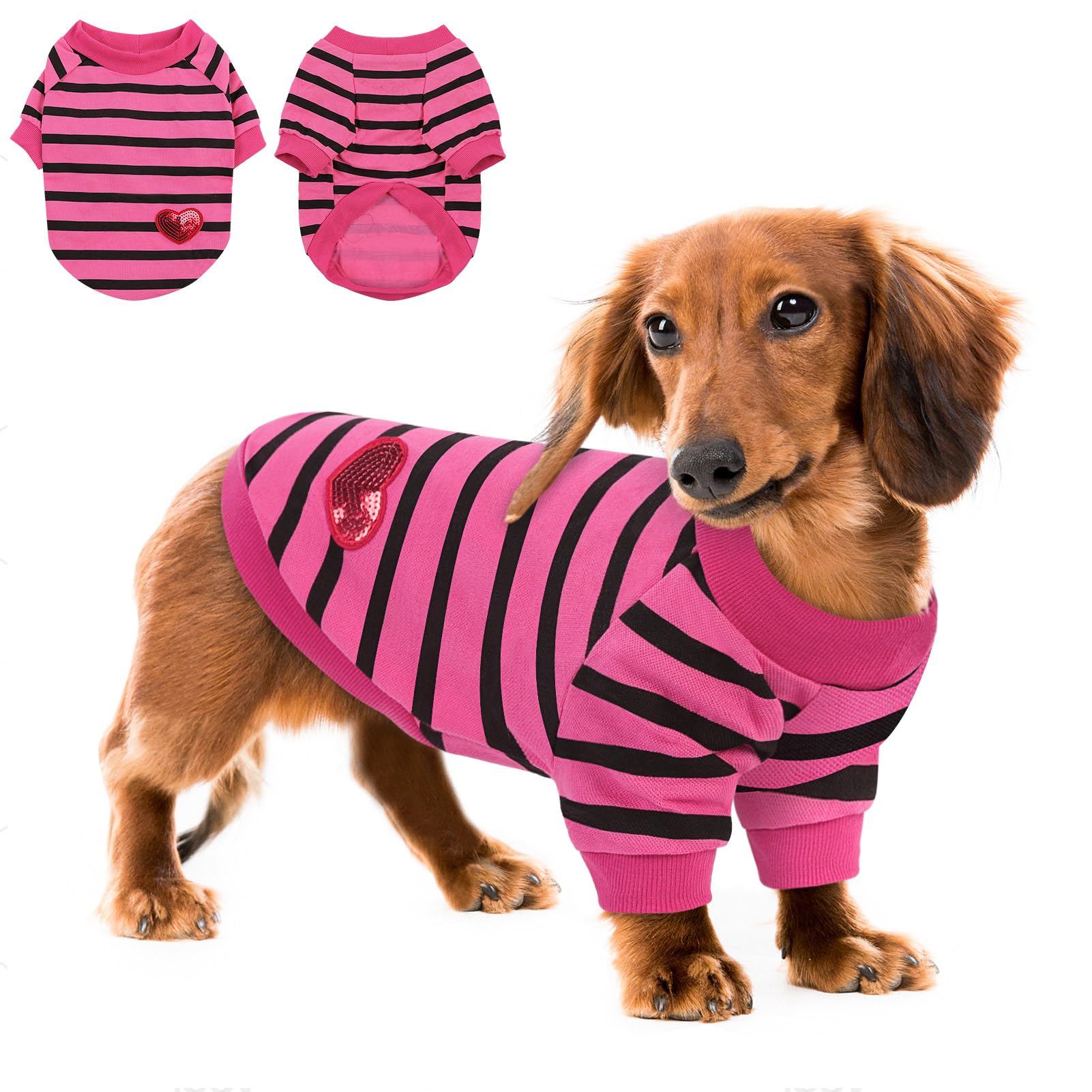Photo 1 of Queenmore Medium Dog Shirt,Soft Breathable Dog Shirt for Dogs Cats Boy Girl,Pet Clothes for All Season,Breathable Lightweight Pet Tshirt for Frenchie, Dachshund, Yorkie