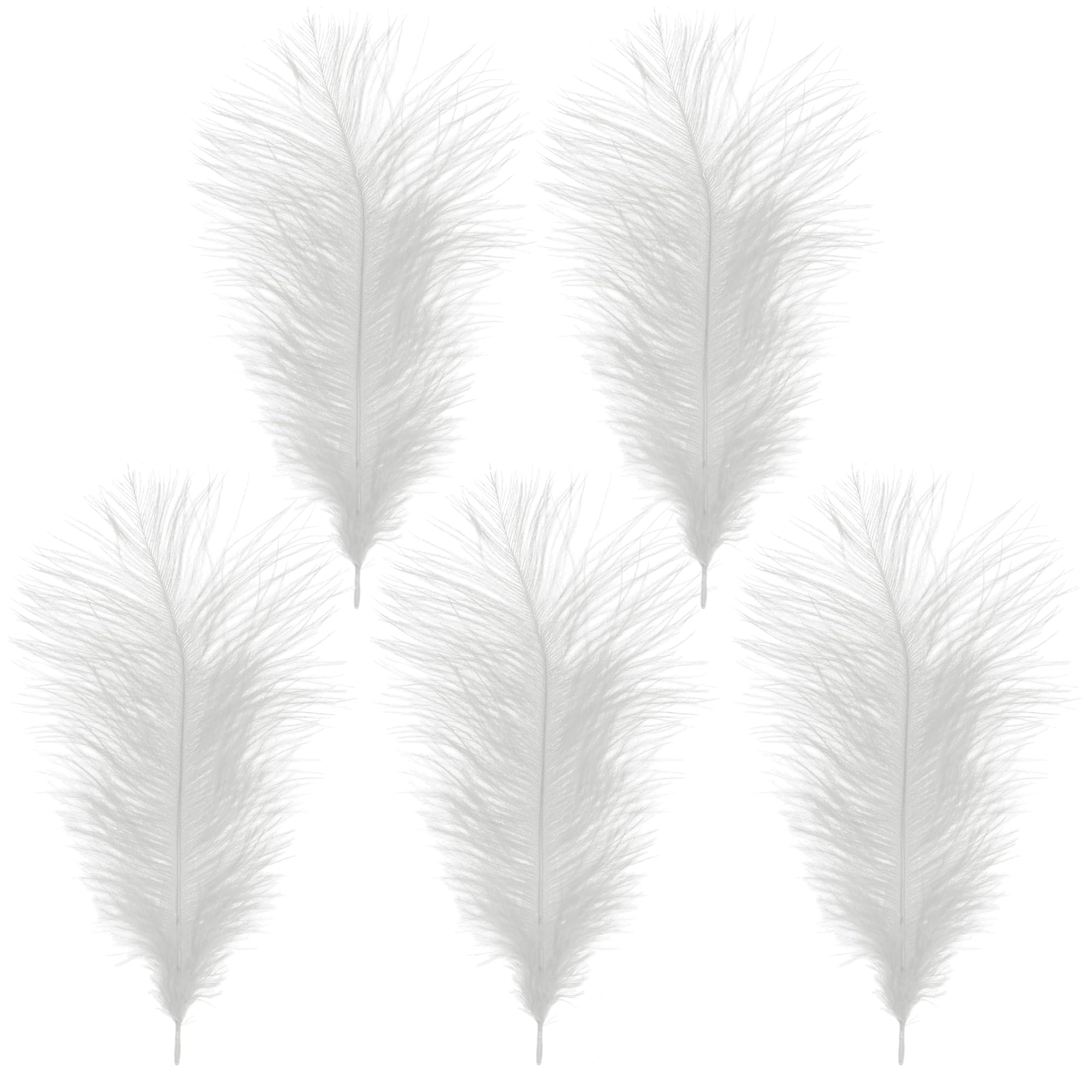 WedDecor White Natural Ostrich Feathers 14-16" (35-40cm) Long for Wedding Centerpieces, Home, Decorating Costumes, Embellishment, Art & Craft, Parties (Pack of 5)