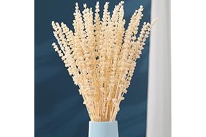 JTODER Dried Lavender Flowers Bundle, White Preserved Dry Lavender Bouquet, 17" Natural Dried Flowers for Home Wedding Vase Decor, Photo Props, Crafts, Flower Arrangements, Gifts for Her