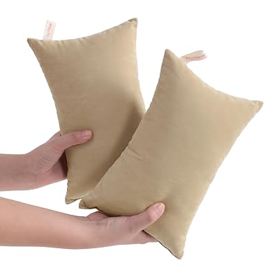 NTBAY Tiny Pillows, Down Alternative 7"x11" Microfiber Mini Pillow for Travel, Pets, Soft Machine Washable Small Pillows for Neck, Wrist, Lumbar and Knee, Light Taupe