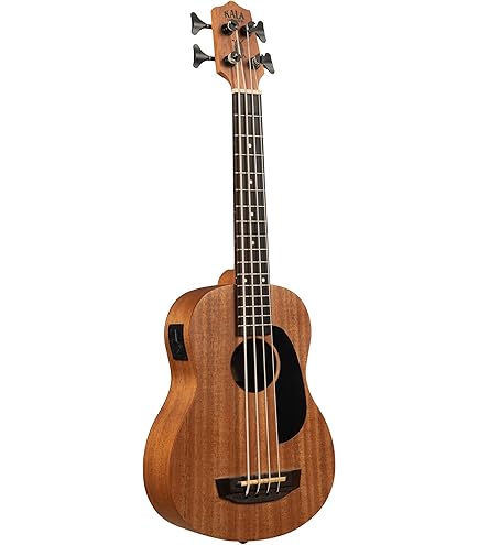 Amazon.com: Scout Acoustic-Electic Fretless U•BASS® : Musical