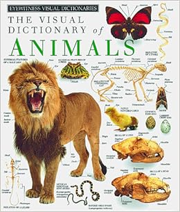 Amazon.com: The Visual Dictionary of Animals (9781879431195): Martyn