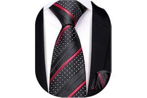 Hi-Tie Boys Ties Self Tie Silk Striped Kids Necktie and Pocket Square Set Paisley Boys Tie for Age 8-11 Wedding