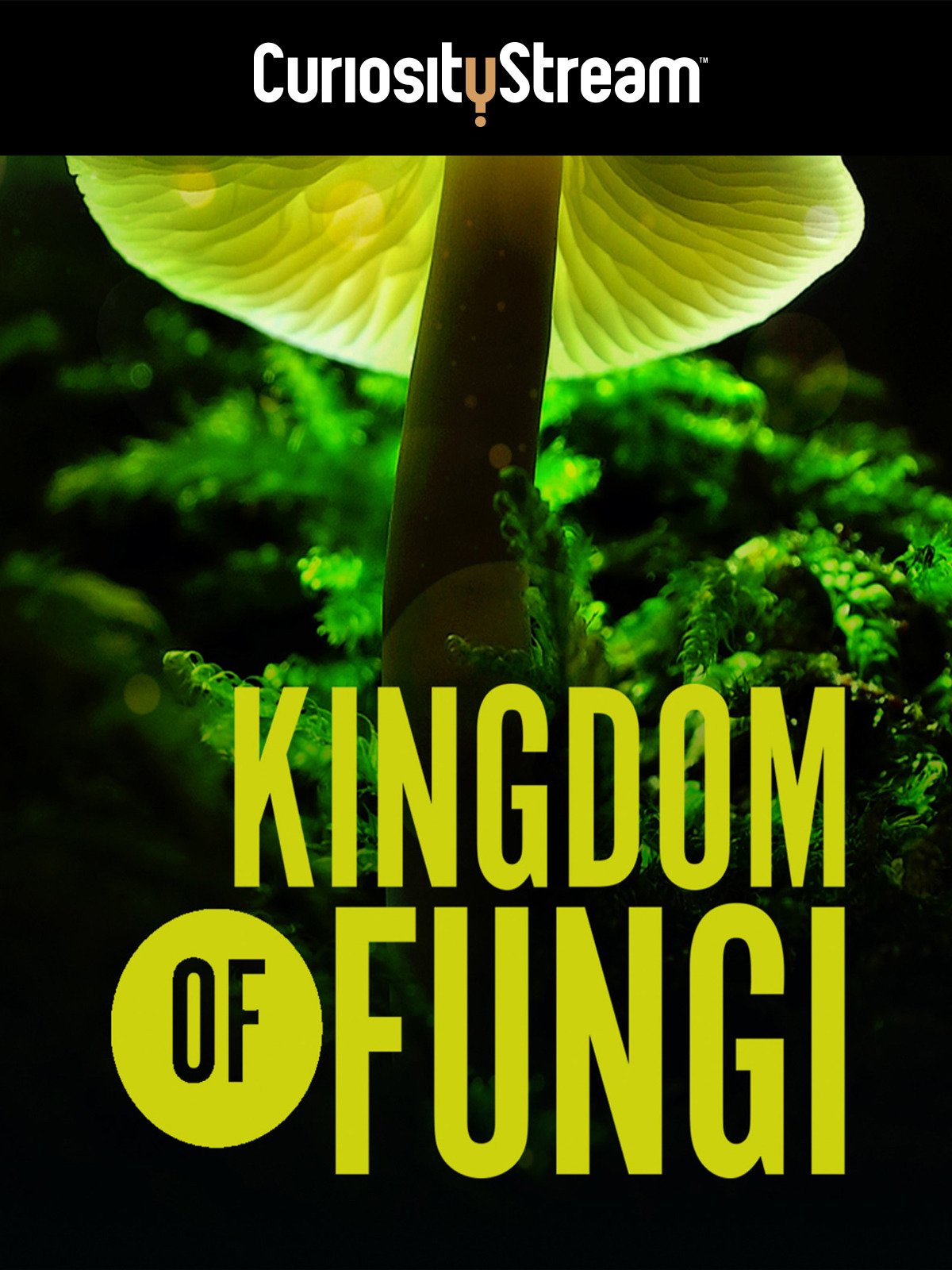 Watch The Kingdom How Fungi Made Our World Prime Video Watch The Kingdom How Fungi Made Our World Prime Video
