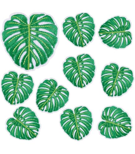 monstera obliqua bolivia Monstera obliqua Peru — Ecuagenera Orquídeas del Ecuador main image 0
