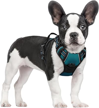 rabbitgoo Dog Harness Small Adjustable No Pull Reflective Easy Control Handle